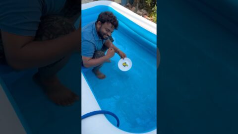 F = Learn How to draw Fish Using Magical Pen In Swimming Pool #shorts