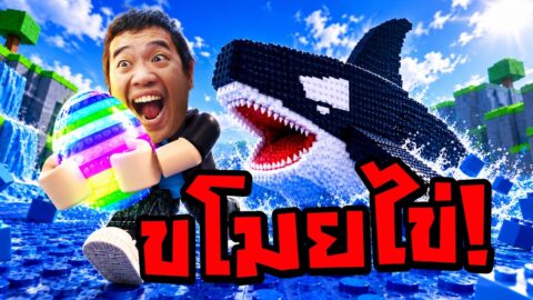 ลองมาขโมยไข่กับเค้าดูบ้าง | Steal An Egg Roblox